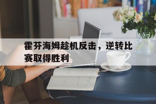 霍芬海姆趁机反击，逆转比赛取得胜利